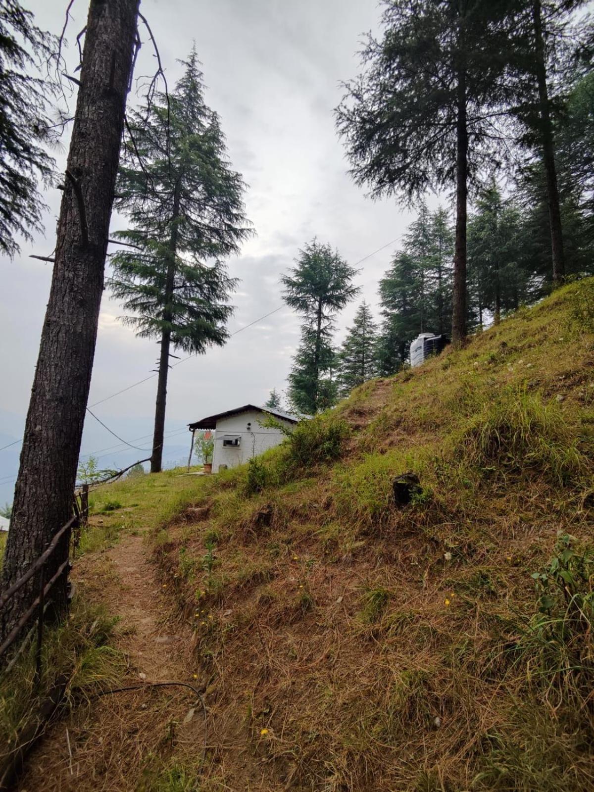 Little Himalayan Abode Vila Almora Exterior foto